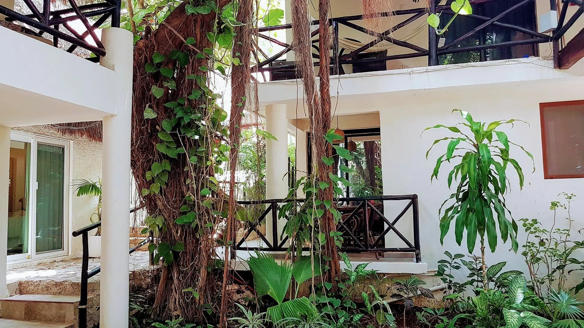Hotel Club Yebo Playa del Carmen 3*,  Mexico