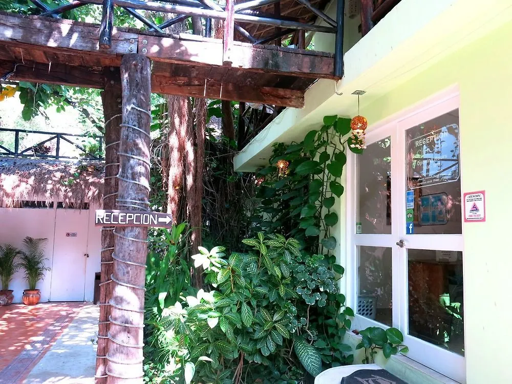 Hotel Club Yebo Playa del Carmen 3*,