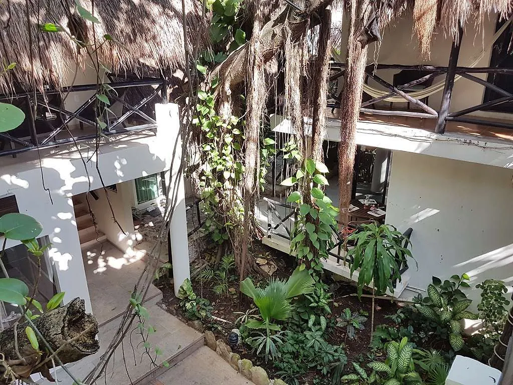 Hotel Club Yebo Playa del Carmen 3*,  Mexico