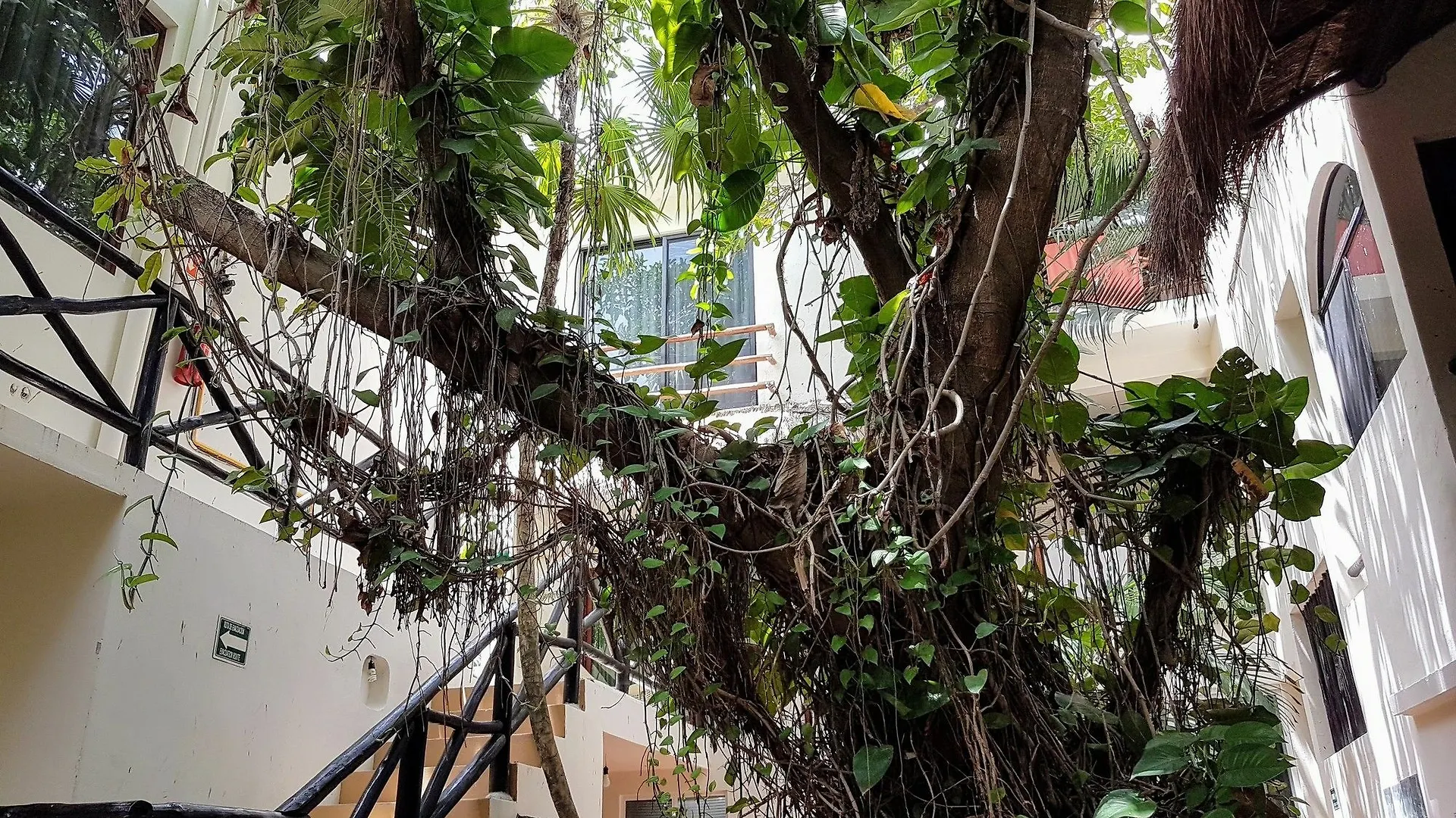 Hotel Club Yebo Playa del Carmen 3*,